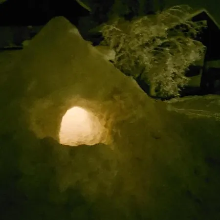 Apartment Finkennest *