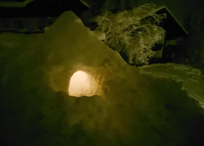 Lägenhet Finkennest *